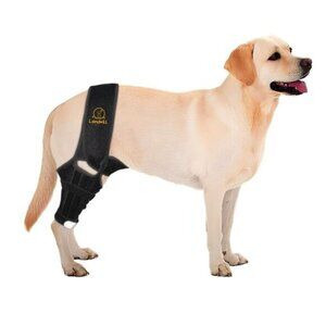 Landwill Dog Knee Brace for Cruciate Ligament Injury Joint Pain Muscle Black XL